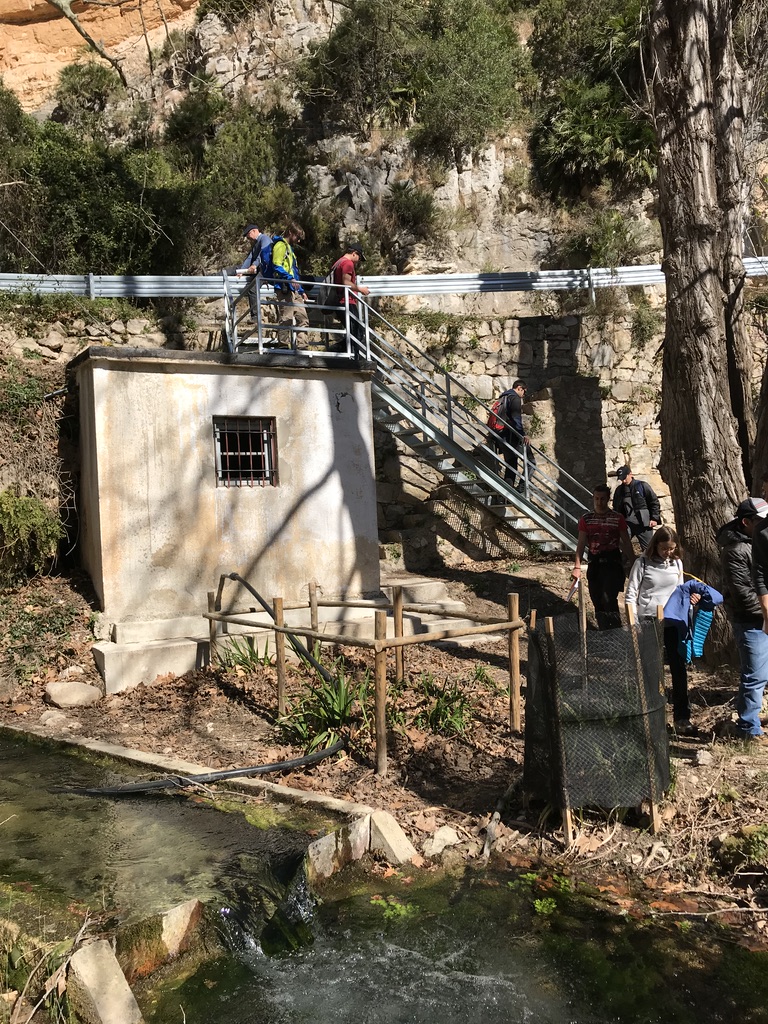 Manantial en la cuenca del Senia. 2019